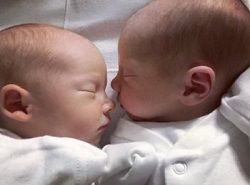 Image of Lucy Castelino's newborn twins cuddling up to each other