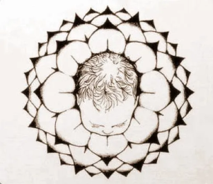 Illustration of baby's head emerging from a lotus flower