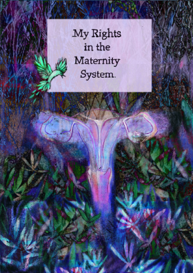 My rights in the maternity system - cover illustration